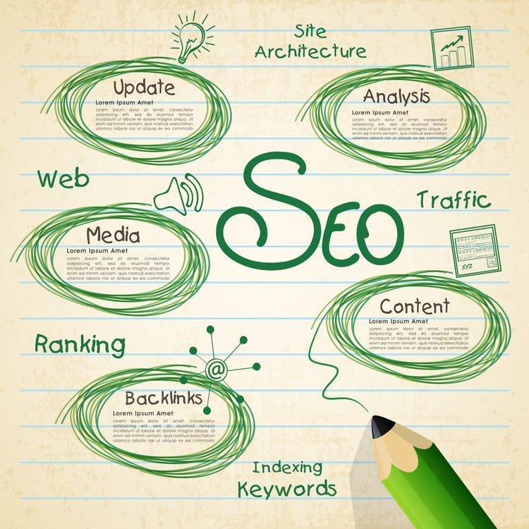 Learn About SEO  with creative marketers bd