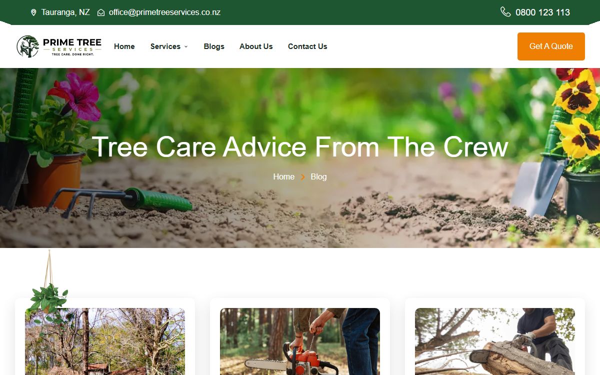 Prime Tree Services - Blog